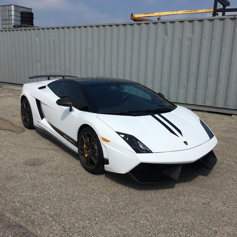 Lamborghini Gallardo — Paint Protection
